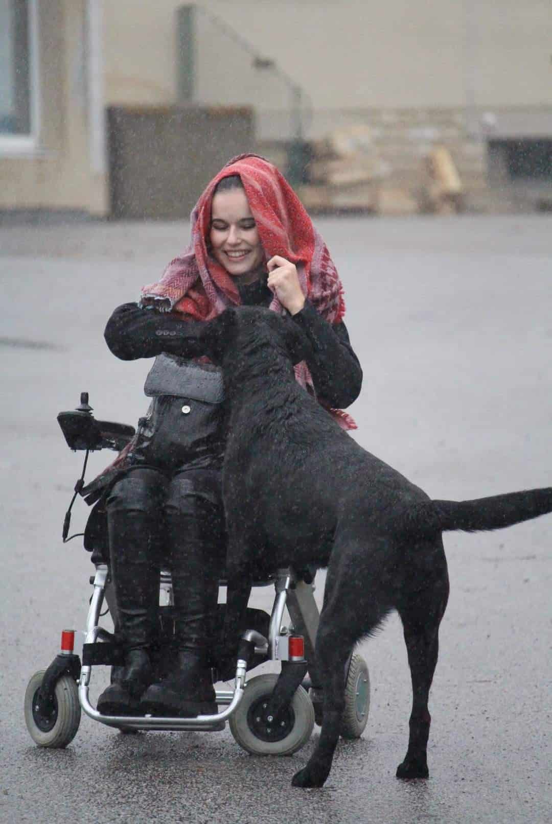 Labrador Noir_Phalco et Camille_FA Béatrice_Alençon12