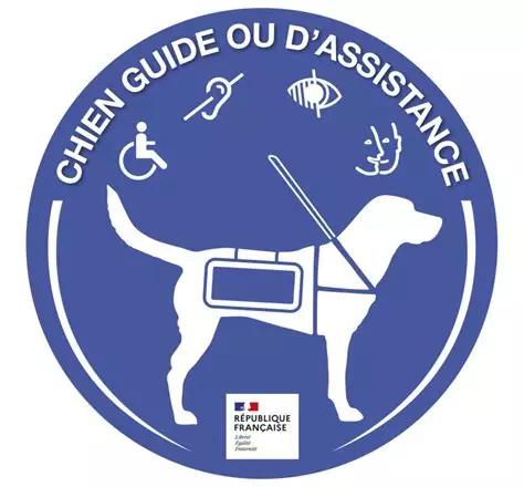 Accès chien d'assistance