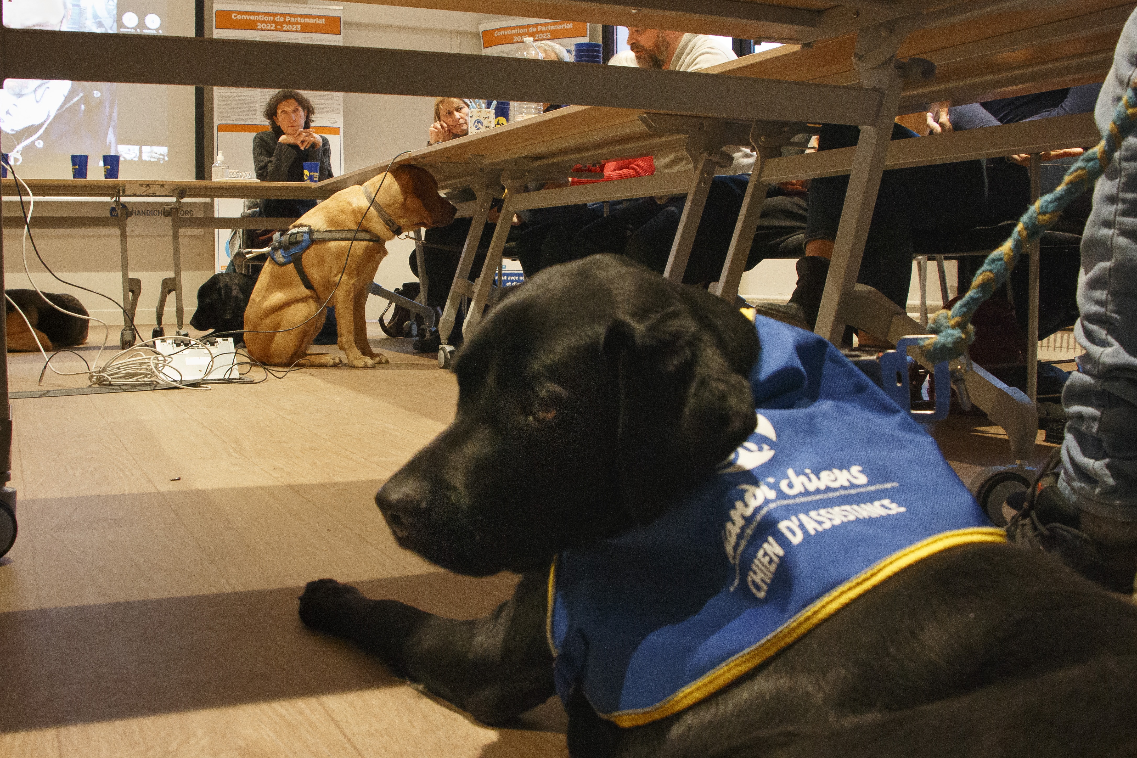 Signature convention HANDI'CHIENS - ANM Chiens Guides