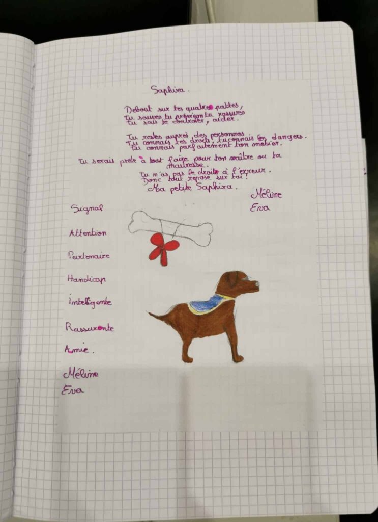 Message pour Saphira