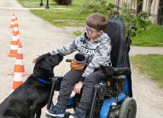 Stage HANDI'CHIENS Val-de-Loire - Avril 2023