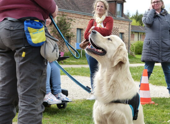 Stage HANDI'CHIENS Val-de-Loire - Avril 2023