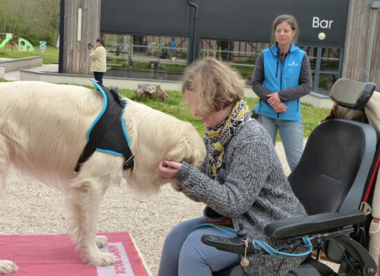 Stage HANDI'CHIENS Val-de-Loire - Avril 2023