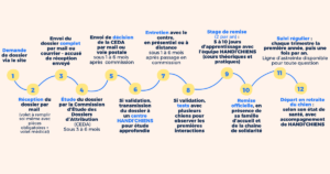 Voici les grandes étapes du parcours : 1 Demande de dossier via notre site 2 Réception du dossier par mail (volet à remplir soi-même avec pièces obligatoires + volet médical) 3 Envoi du dossier complet au siège de l’association 4 Accusé de réception par mail 5 Sous 3 à 6 mois, étude du dossier par la Commission d’Étude des Dossiers d’Attribution (CEDA)&nbsp; 6 Si validation, envoi de la décision par mail et transmission du dossier à un centre HANDI’CHIENS pour étude approfondie (sous 1 à 6 mois après passage en commission) 7 Entretien avec le centre, en présentiel ou à distance (sous 1 à 6 mois après passage en commission) 8 Si validation, tests avec plusieurs chiens pour observer les premières interactions (pour cette étape, le délais dépendra des chiens en formation et du profil du bénéficiaire, l'objectif étant de former des binômes au sein desquels l'humain et le chien s'épanouissent. Les délais d'attente sont en moyenne de 1 an et demi pour les chiens d'assistance pour personne à mobilité réduite, 2 à 3 ans pour l'éveil ou l'épilepsie. Il est important de noter qu'il s'agit de moyennes) 9 Stage de remise : 10 jours d’apprentissage avec l’équipe éducative (cours théoriques et pratiques) - 2 par an par centre (les frais d'hébergement et de repas de stage sont à la charge des stagiaires) 10 Remise officielle du chien, en présence de sa famille d’accueil et de la chaîne de solidarité 11 Suivi régulier : chaque trimestre la première année, puis une fois par an. Ligne d’astreinte disponible pour toute question. 12 Départ en retraite du chien, selon son état de santé, avec accompagnement de HANDI’CHIENS