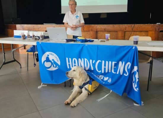 Snow, l'ambassadeur HANDI'CHIENS