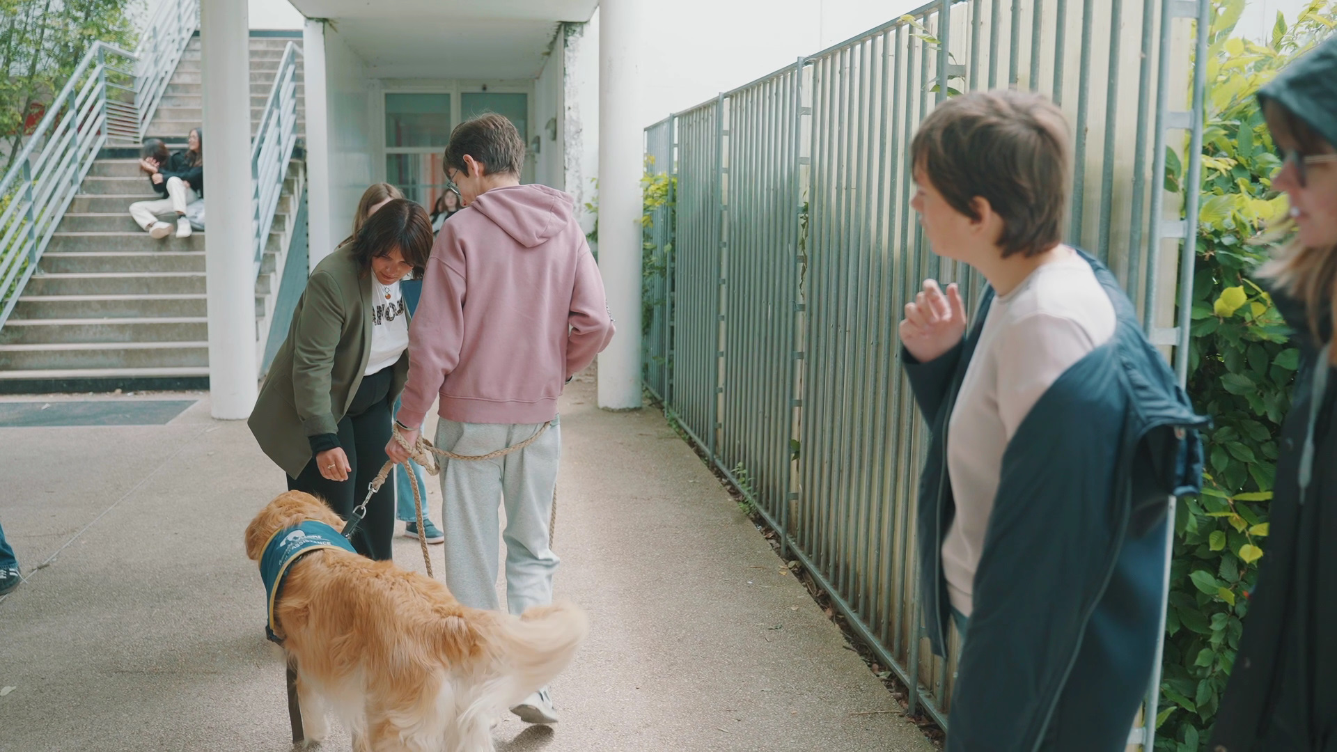 Chien d'assistance à la réussite scolaire
