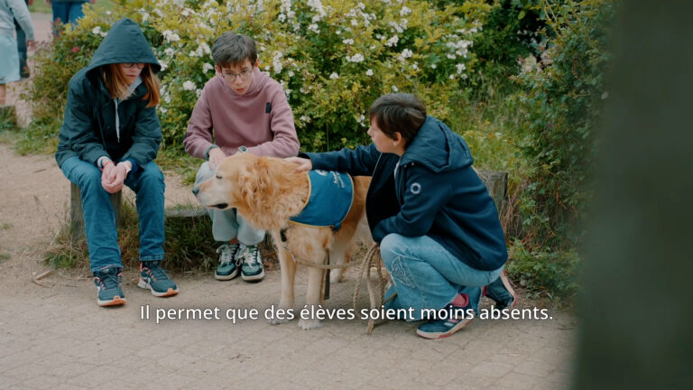 CARS - absentéisme