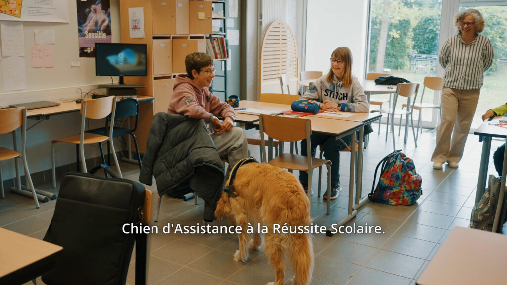 CARS apprentissage