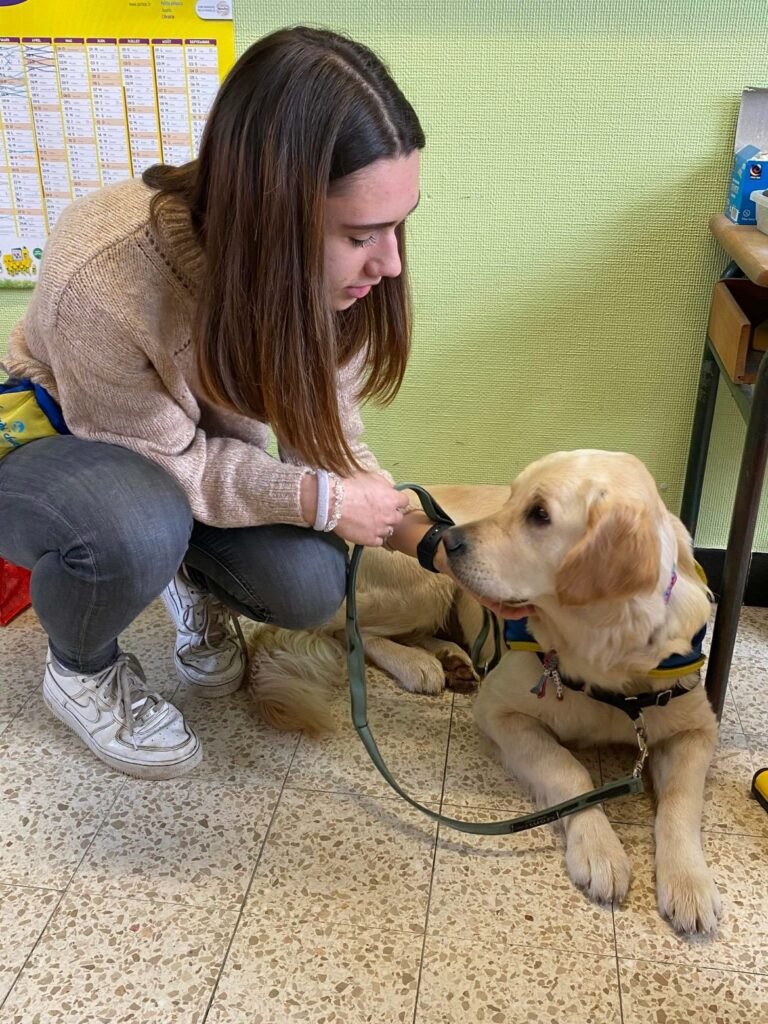 Alexe et Shadow