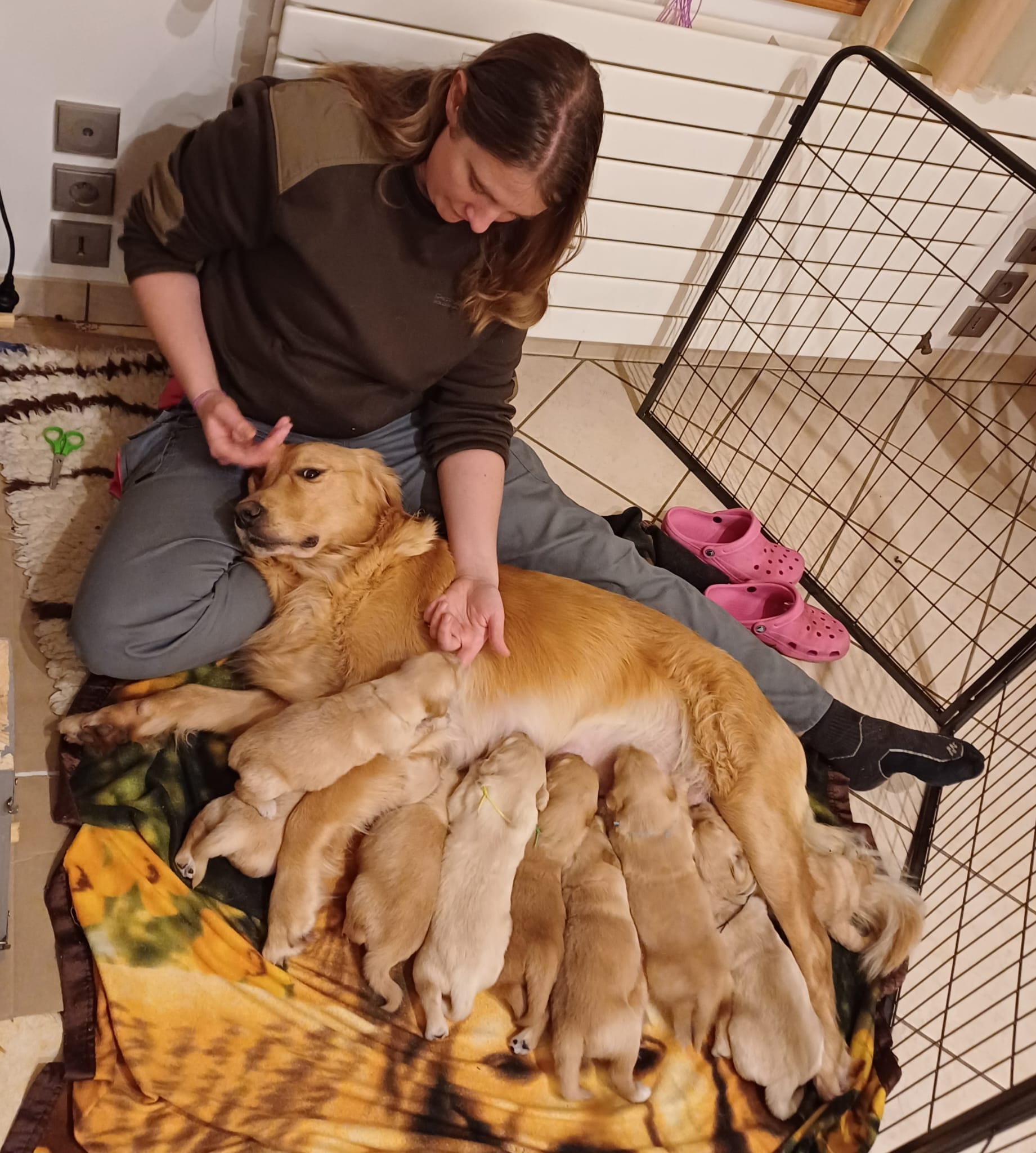 Solveig, Famille d'accueil éleveuse HANDI'CHIENS