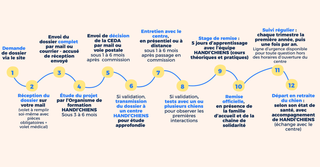 Voici les grandes étapes du parcours : 1 Demande de dossier via notre site 2 Réception du dossier par mail (volet à remplir soi-même avec pièces obligatoires + volet médical) 3 Envoi du dossier complet au siège de l’association 4 Accusé de réception par mail 5 Sous 3 à 6 mois, étude du dossier par l'organisme de formation HANDI'CHIENS&nbsp; 6 Si validation, envoi de la décision par mail et transmission du dossier à un centre HANDI’CHIENS pour étude approfondie (sous 1 à 6 mois après passage en commission) 7 Entretien avec le centre, en présentiel ou à distance (sous 1 à 6 mois après passage en commission) 8 Si validation, tests avec un ou plusieurs chiens pour observer les premières interactions (pour cette étape, le délais dépendra des chiens en formation et du profil du bénéficiaire, l'objectif étant de former des binômes au sein desquels l'humain et le chien s'épanouissent. 9 Stage de remise : 5 jours d’apprentissage avec l’équipe éducative (cours théoriques et pratiques) - 2 par an par centre (les frais d'hébergement et de repas de stage sont à la charge des stagiaires) 10 Remise officielle du chien, en présence de la famille d’accueil du chien et de la chaîne de solidarité 11 Suivi régulier : chaque trimestre la première année, puis une fois par an. Ligne d’astreinte disponible pour toute question. 12 Départ en retraite du chien, selon son état de santé, avec accompagnement de HANDI’CHIENS