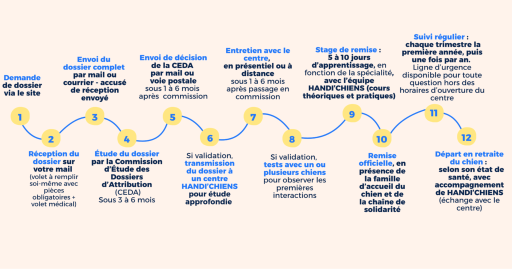 Voici les grandes étapes du parcours : 1 Demande de dossier via notre site 2 Réception du dossier par mail (volet à remplir soi-même avec pièces obligatoires + volet médical) 3 Envoi du dossier complet au siège de l’association 4 Accusé de réception par mail 5 Sous 3 à 6 mois, étude du dossier par la Commission d’Étude des Dossiers d’Attribution (CEDA)&nbsp; 6 Si validation, envoi de la décision par mail et transmission du dossier à un centre HANDI’CHIENS pour étude approfondie (sous 1 à 6 mois après passage en commission) 7 Entretien avec le centre, en présentiel ou à distance (sous 1 à 6 mois après passage en commission) 8 Si validation, tests avec plusieurs chiens pour observer les premières interactions (pour cette étape, le délais dépendra des chiens en formation et du profil du bénéficiaire, l'objectif étant de former des binômes au sein desquels l'humain et le chien s'épanouissent. Les délais d'attente sont en moyenne de 1 an et demi pour les chiens d'assistance pour personne à mobilité réduite, 2 à 3 ans pour l'éveil ou l'épilepsie. Il est important de noter qu'il s'agit de moyennes) 9 Stage de remise : 10 jours d’apprentissage avec l’équipe éducative (cours théoriques et pratiques) - 2 par an par centre (les frais d'hébergement et de repas de stage sont à la charge des stagiaires) 10 Remise officielle du chien, en présence de sa famille d’accueil et de la chaîne de solidarité 11 Suivi régulier : chaque trimestre la première année, puis une fois par an. Ligne d’astreinte disponible pour toute question. 12 Départ en retraite du chien, selon son état de santé, avec accompagnement de HANDI’CHIENS